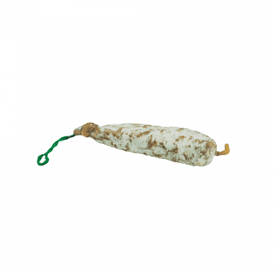 Saltxitxoia Saltxitxoia