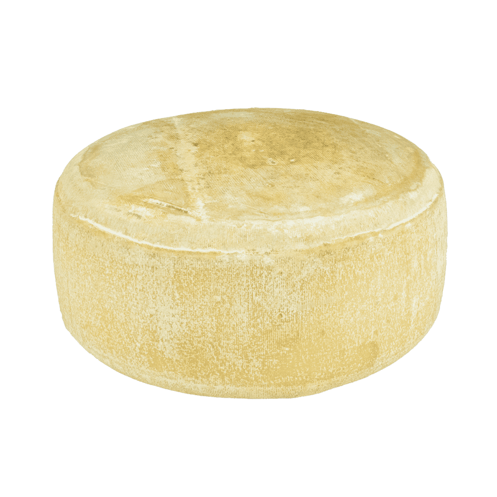 Queso de oveja con pimiento de Espeleta
