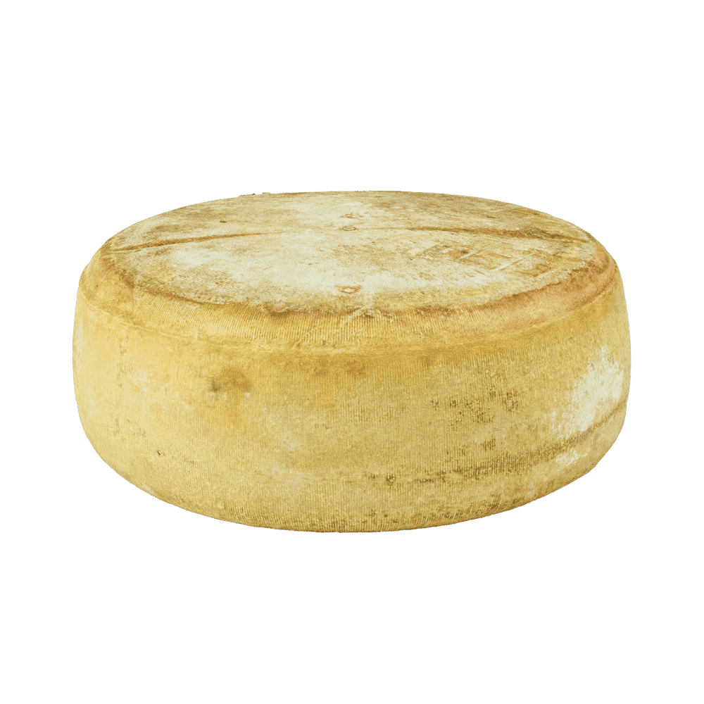 grosse tomme de fromage mixte de chèvre et brebis