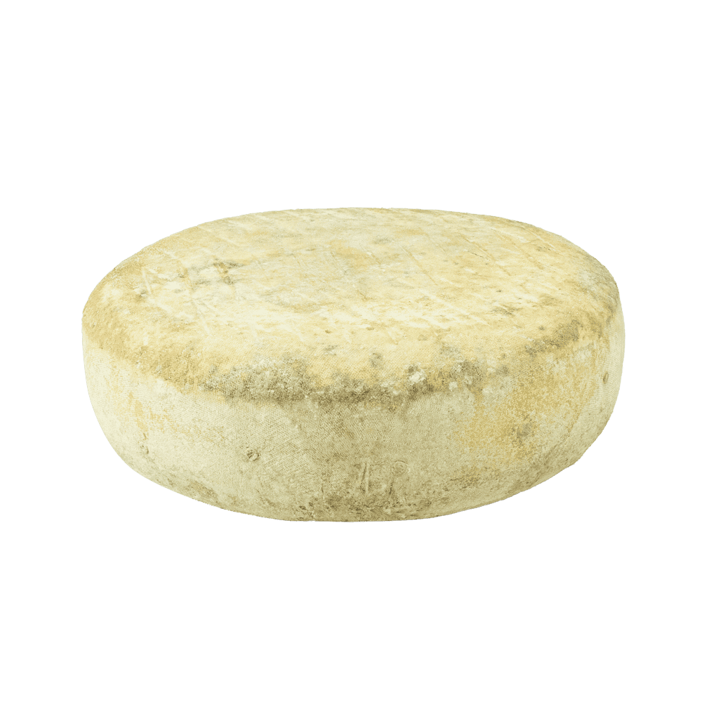 Queso de vaca