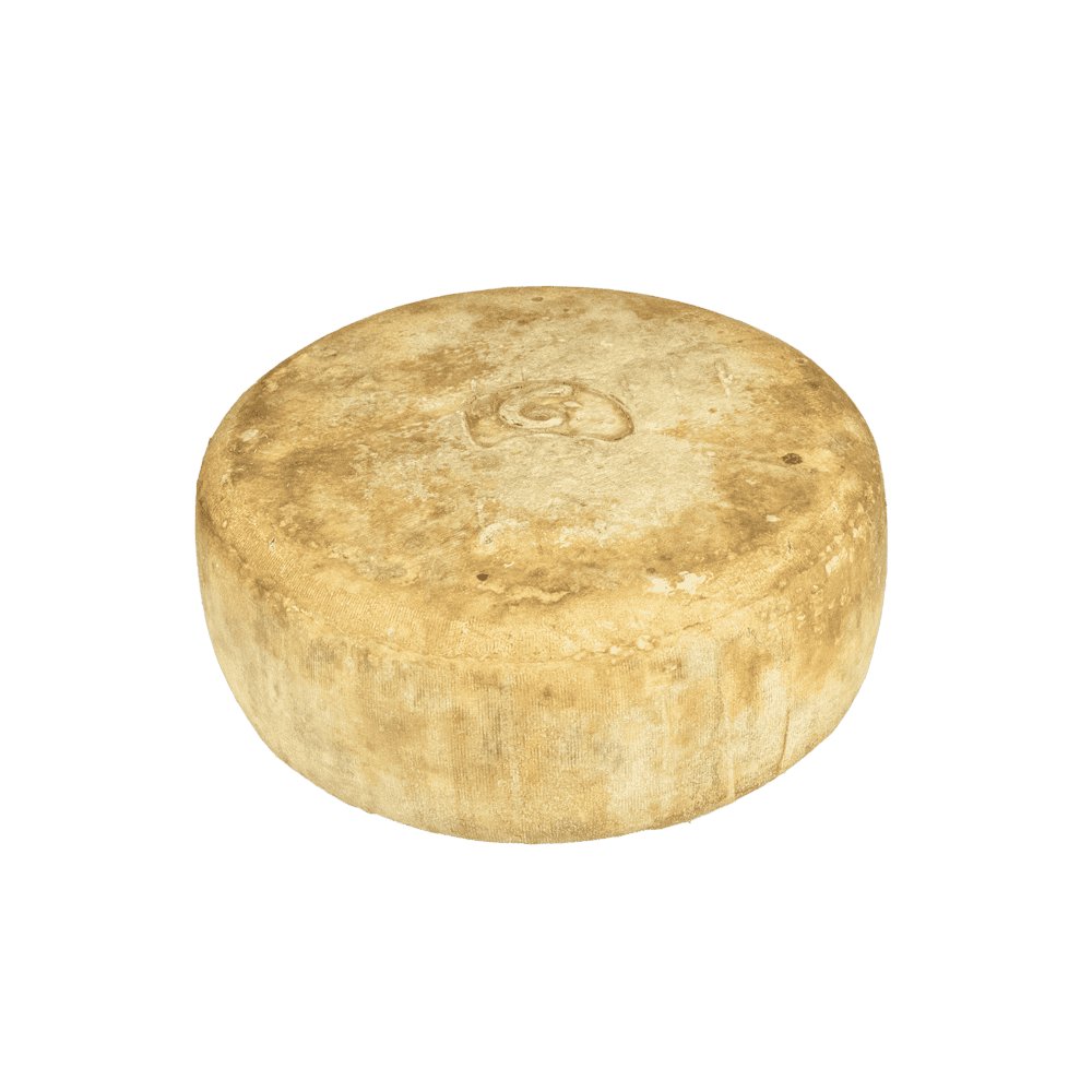 fromage de brebis ossau-iraty lait cru grosse tomme