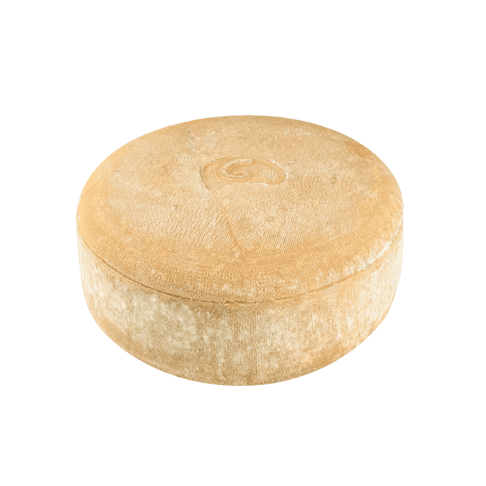 Queso de oveja DOP Ossau-Iraty Queso de oveja DOP Ossau-Iraty