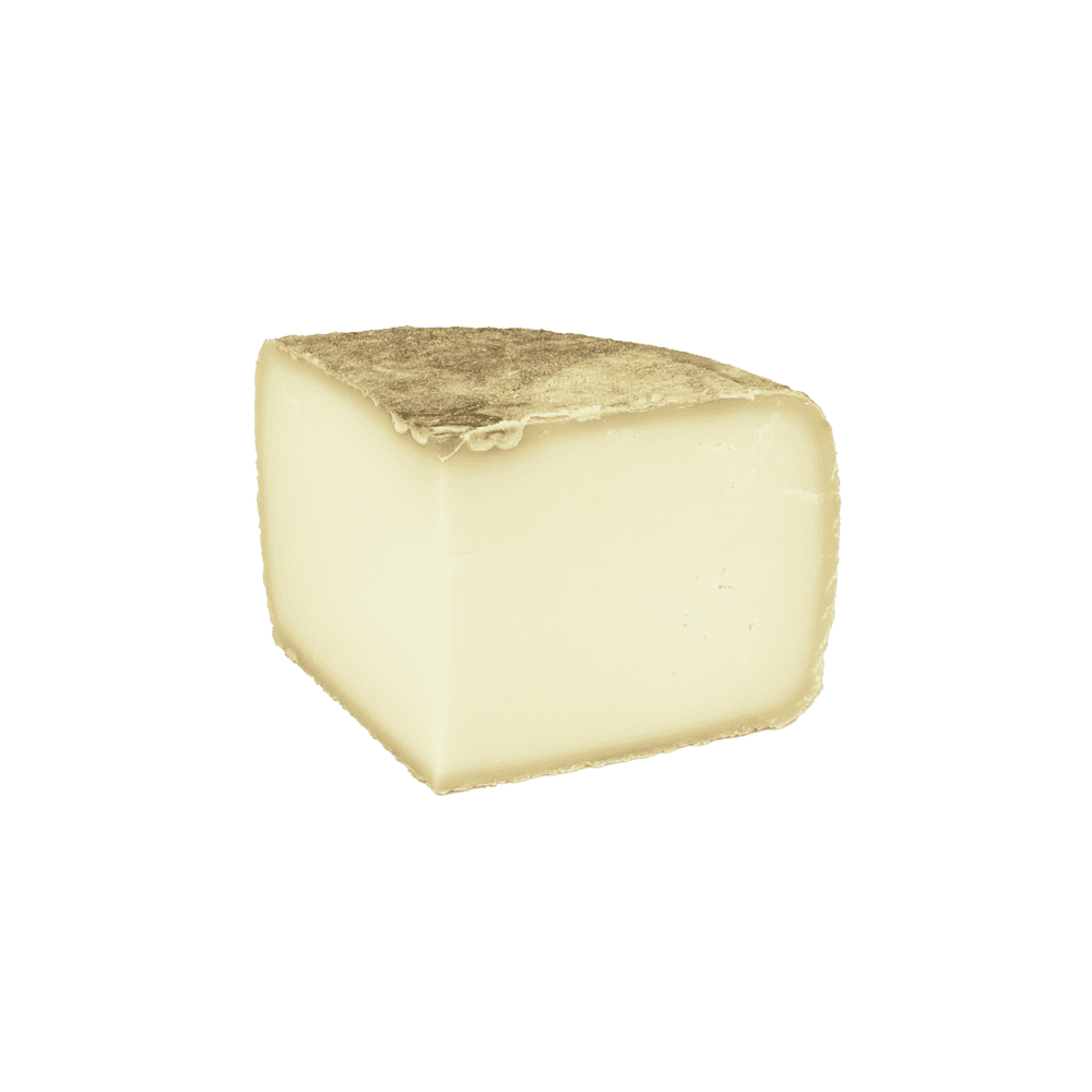 Sheep's milk cheese Ossau-Iraty Sheep's milk cheese Ossau-Iraty