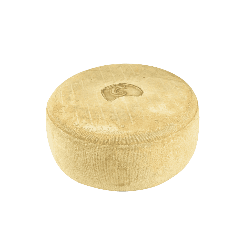 fromage de brebis ossau iraty bio grosse tomme fromage de brebis ossau iraty bio grosse tomme