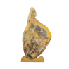 Jambon de bayonne