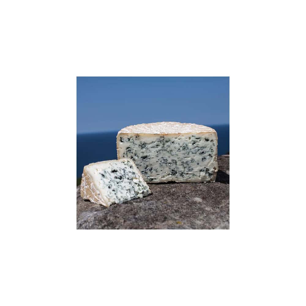 fromage bleu de chèvre du pays basque