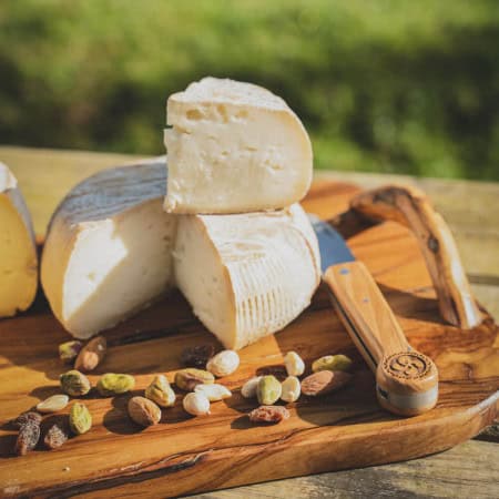 FROMAGE DE BREBIS ARPEA GASTRONOMIE BASQUE FROMAGE BASQUE FROMAGERIE MAISON AGOUR ETXEA