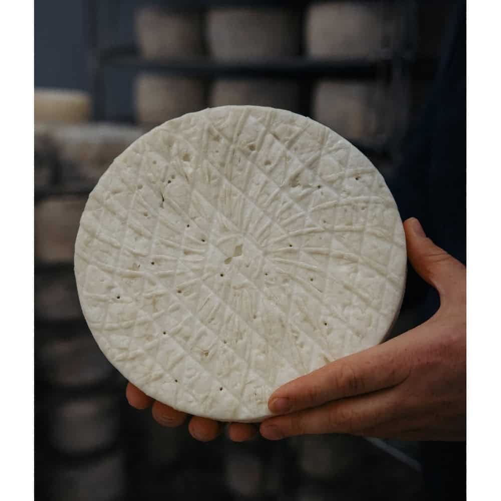 TOMMETTE BLEU DE BREBIS DU PAYS BASQUE URDINA FROMAGERIE MAISON AGOUR ETXEA TOMMETTE BLEU DE BREBIS DU PAYS BASQUE URDINA FROMAGERIE MAISON AGOUR ETXEA