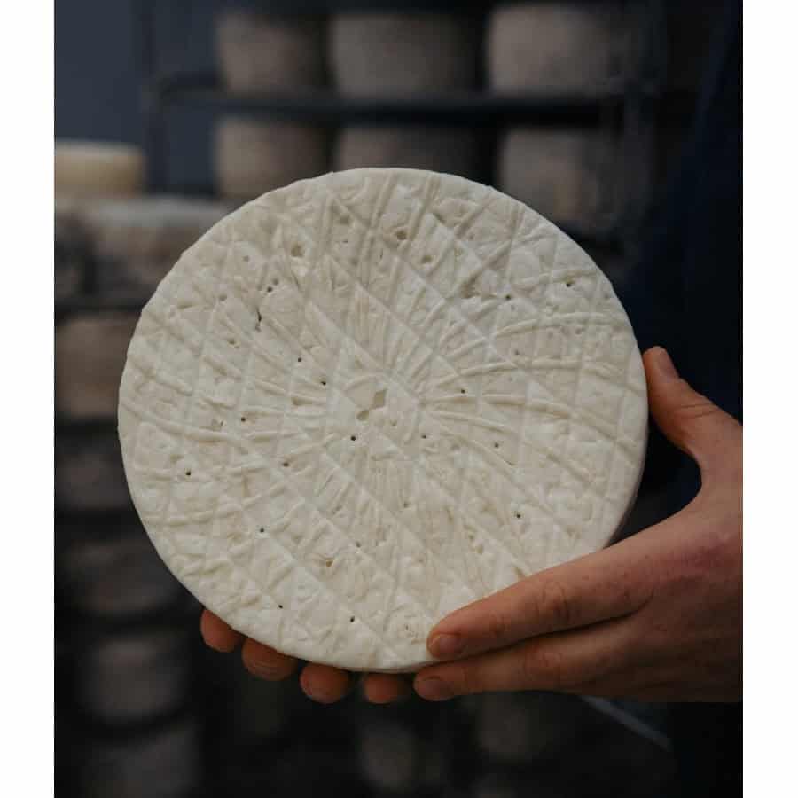 TOMMETTE BLEU DE BREBIS DU PAYS BASQUE URDINA FROMAGERIE MAISON AGOUR ETXEA