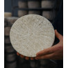 TOMMETTE BLEU DE BREBIS DU PAYS BASQUE URDINA FROMAGERIE MAISON AGOUR ETXEA TOMMETTE BLEU DE BREBIS DU PAYS BASQUE URDINA FROMAGERIE MAISON AGOUR ETXEA