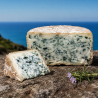 fromage bleu de chèvre du pays basque urdina maison agour etxea
