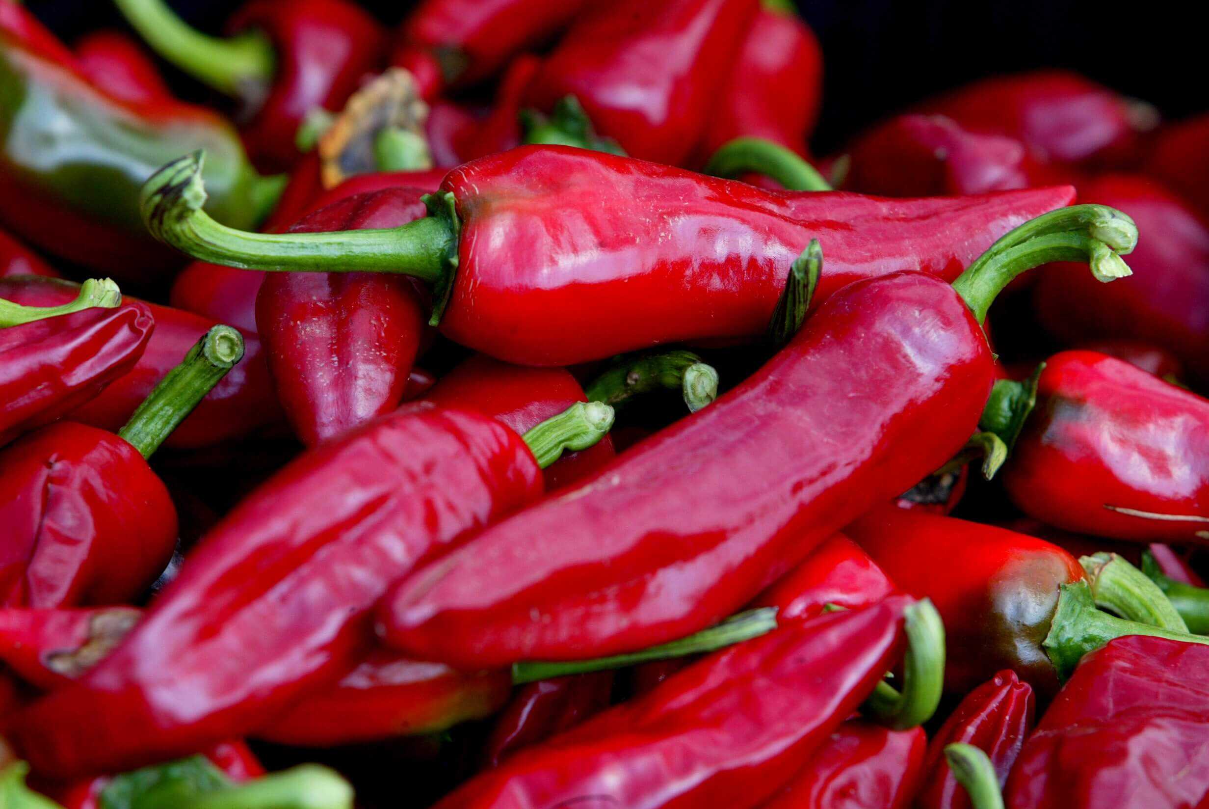 piment d'espelette piment d'espelette