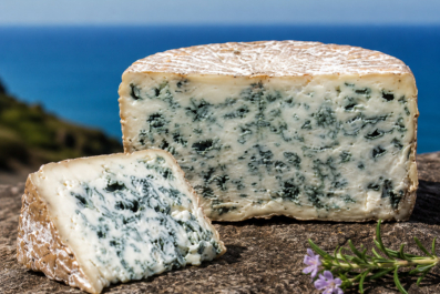 urdiña : le fromage bleu du pays basque qui réinvente les saveurs du terroir